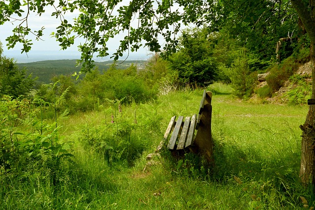 赛的需求 赛的需求