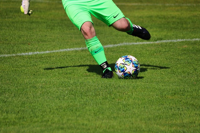 年轻球员们 年轻球员们