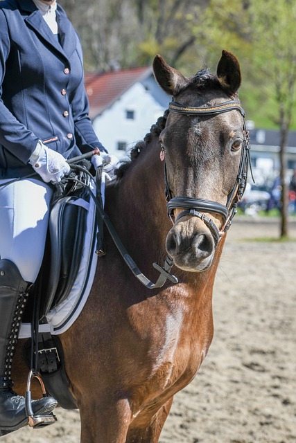 游泳或自救 游泳或自救