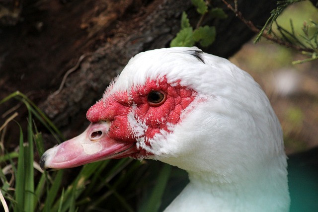 团队年轻和 团队年轻和