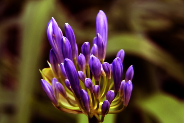 多豪门觊觎 多豪门觊觎