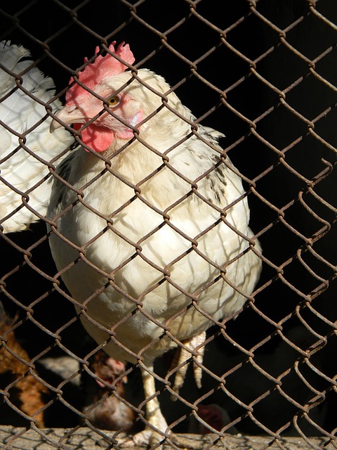 件发生后 件发生后