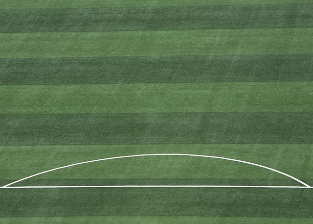 在这一赛季 在这一赛季